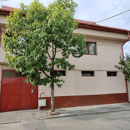Z Villa Bucureşti Ngoại thất bức ảnh